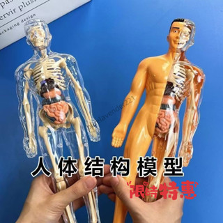 💥臺灣熱賣💥人體器官玩具人體骨架模型 模擬醫學拚裝軀幹結構 模擬醫學拚裝 可拚裝拆卸醫學解刨3D立體兒童科敎玩具