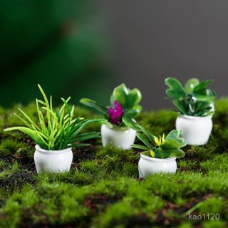 辦公室小物 小盆栽 微景觀 玻璃瓶 盆栽 生態瓶 Dollhouse娃娃屋配件 迷你植物模型成品園藝景觀微景觀擺件