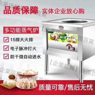 【企業店鋪】蒸包爐商用蒸爐多功能電蒸包子機燃氣饅頭蒸汽爐節能蒸包子腸粉爐