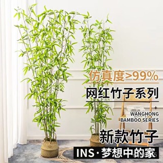免運/可開發票模擬綠植竹子室內室內裝飾禪意隔斷景觀古典屏風中式裝飾盆栽造景仿真植物 人造樹盆栽 假樹植物 人造植物