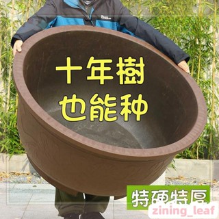 5/2紫砂盆特大號花盆塑膠花盆加厚戶外種果樹盆景超大碼鐵樹睡蓮荷花盆圓形綠植盆樹脂復古花盆