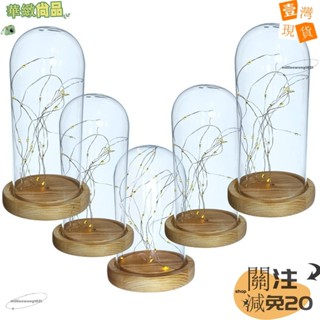 🔥華緻尚品🔥+發票led發光燈串玻璃罩 20珠圓球形手辦永生花木底座暖光燈玻璃罩123
