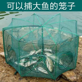 良藥捕大魚魚籠折疊魚網扇形漁網黃鱔加厚加粗蝦籠龍蝦網籠螃蟹捕魚籠
