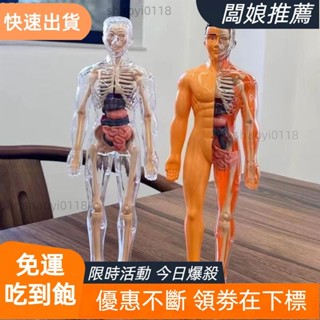【店主推薦】JEROMY3d人體軀幹模型,塑膠DIY人體模型科學認知益智玩具,蒙臺梭利施工透明兒童骨架模型