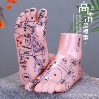 臺灣出貨【4665人好評】足模型腳模型腳底腳部穴位按摩足部反射區刻字足療圖腳丫足底模具 2KDN