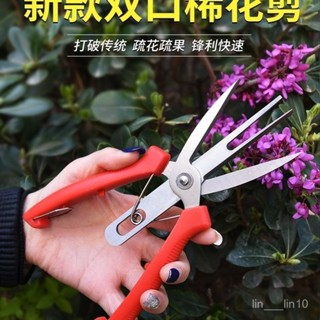 新店限時低價🔥🔥【雙口設計】不銹鋼雙刃剪刀果樹疏花疏果雙口蘋果樹稀花稀果專用梨樹神器
