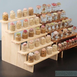 實木展示架飾品桌麵收納手辦泡泡瑪特公仔展示架玩偶多肉綠植階梯架子
