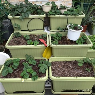 滿299元出貨塑膠花盆加厚耐用耐曬長方形花盆陽臺種菜盆特價花盆加大號 塑膠花盆 花盆 塑膠花盆 盆栽容器 多肉花盆