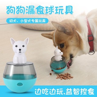 💥臺灣出貨💥寵物玩具 小狗玩具 漏食玩具 貓咪玩具 幼犬玩具 寵物玩具球漏食玩具狗狗益智解悶中小型泰迪狗貓咪不倒翁漏