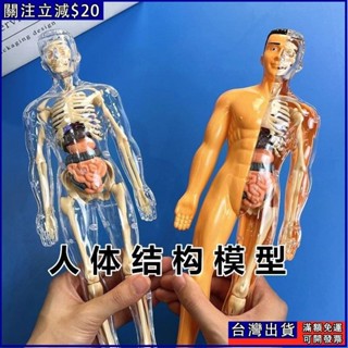 人體器官玩具人體骨架模型模擬拚裝軀幹結構內臟科敎類玩具 人體器官模型人體拚裝模型 人體器官模型 人體模擬模型