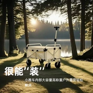 傢用神器拉桿老人小拖車 旅行包 手推拉桿 小推車 大容量購物車 買菜小拉車 購物車 託運袋 便攜可折疊 購物必備 超能裝