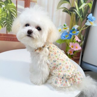 【桃園出貨】春夏碎花吊帶裙寵物服飾公主風狗狗貓咪衣服比熊薄款透氣比熊博美 寵物衣服夏天 薄款背心 狗狗衣服 貓衣服