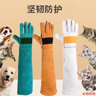 清倉底價出💎防抓手套💎防狗防貓防護手套養寵物蛇訓犬加厚長牛皮手套耐磨耐用捕貓手套