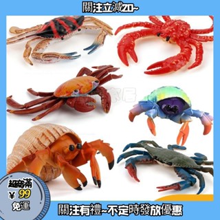 實心海洋生物螃蟹寄居蟹梭子蟹模擬模型玩具兒童科敎玩具模型