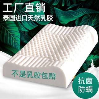 免運 臺灣出貨 乳膠枕頭 護頸枕 天然乳膠枕 澳袋泰國乳膠枕頭單人成人橡膠枕芯記憶家用枕頭護頸椎乳膠枕