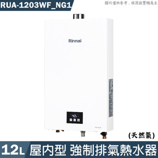 林內【RUA-1203WF_NG1】屋內型12L強制排氣熱水器 天然氣(含全臺安裝)