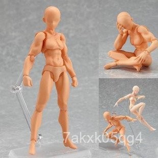 【限時免運】figma 素體 男性 女性 He she 膚色 灰色款 可動模型擺件手辦