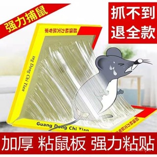 超熱銷 亮娟粘鼠闆強力老鼠貼捕鼠器大老鼠粘膠神器家用粘鼠貼老鼠膠