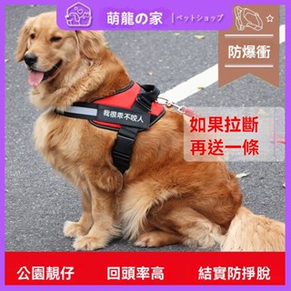 臺灣出貨狗狗牽引繩胸背帶狗繩子小型中型大型犬金毛薩摩耶防爆衝狗鏈結實寵物 牽引繩 寵物用品 AYTI