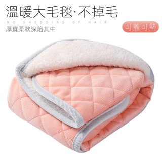 【限時特賣】四季通用寵物睡墊 可拆洗睡墊 加厚不沾毛睡墊【親膚毛絨材質】寵物墊子貓墊狗墊狗窩毛毯冬天保暖抗磨耐抓耐