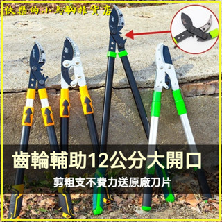 可開發票齒輪粗支強力剪刀伸縮高枝專用省力剪子修枝綠園林樹枝園藝SK5鋼園藝剪刀 花剪 剪定鋏樹枝剪果樹剪採果剪專業修枝剪