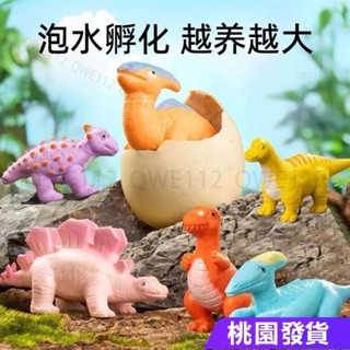 【狂歡購】膨脹恐龍公仔 恐龍蛋孵化泡水 網紅同款泡水兒童玩具 大號泡水長大變大膨脹霸王龍模型 WQV3