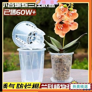 😀臺灣熱賣😀 透明高腳控根盆 空氣柱控根盆 蘭花盆 觀葉植物專用盆 斑葉 閤果芋 龜背芋 觀音蓮 雨林 彩葉芋