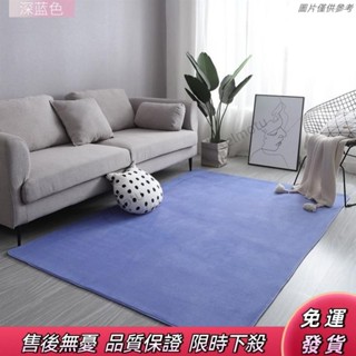✨新品促銷✨ 短毛地毯 北歐地毯 臥室床邊客廳地毯 網紅ins風茶几飄窗珊瑚絨毯 榻榻米沙發墊