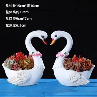 ❤萌寵集天鵝花盆一對天鵝多肉植物盆栽樹脂辦公室桌面擺件裝飾景觀款