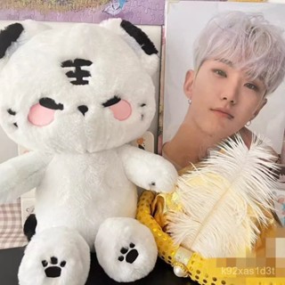 Seventeen 娃娃 小17 40cm奶糖虎 特典 權順榮 HOSHI 老虎大公仔 SEVENTEEN週邊
