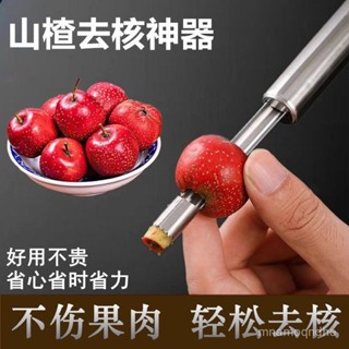 🔥限時特賣🔥【3290人好評】山楂去核器神器不銹鋼紅棗去籽器蘋果梨水果取芯工具挖沙果挖去核
