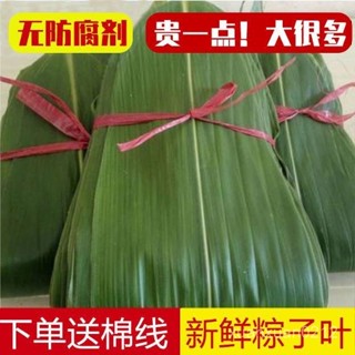 🔥桃園出貨可開發票🔥【4913人收藏】特大粽子葉幹粽葉大寬葉家用包粽子專用純天然新鮮粽葉幹大號新葉 PHMI