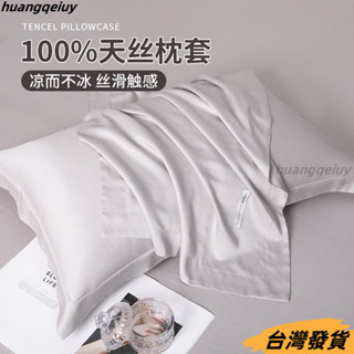 【臺灣發貨】A類母嬰級100支萊賽爾天絲枕套家用宿捨四季涼感冰絲真絲48*74CM純絲枕頭套 天絲頭枕套 枕頭套