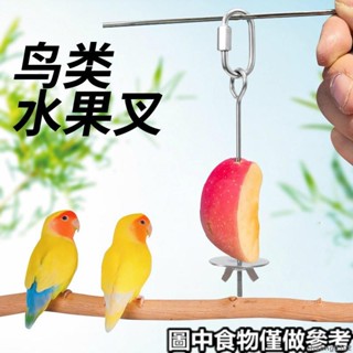 水果叉 [1892人好評]鳥用不銹鋼水果叉蔬菜掛鈎水果夾餵食器玩具鳥籠便攜專用寵物用品🧡桃園出貨🧡