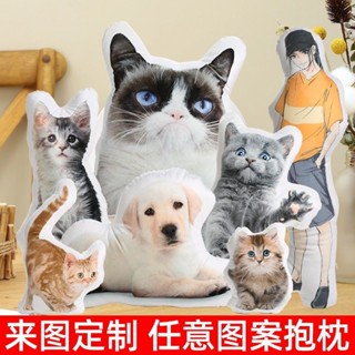 💕臺灣出貨💕 DIY定製 抱枕 來圖 自製 人形 雙麵 照片 創意 娃娃 畢業設計 模型 模擬 動物