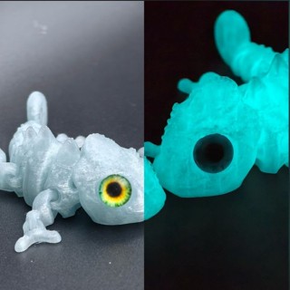 🚚臺灣出貨 3D列印玩具 【店鋪熱銷】3D列印龍蜥蜴全身關節可動爆款模擬寵物模型生日禮物搞怪玩具擺攤