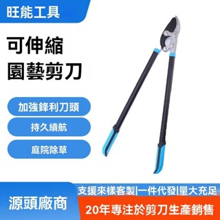 【臺灣熱賣】手動工具廠家直供修枝剪園林樹葉粗枝剪刀園藝剪刀綠化工具家用果樹草坪剪耐磨耐用