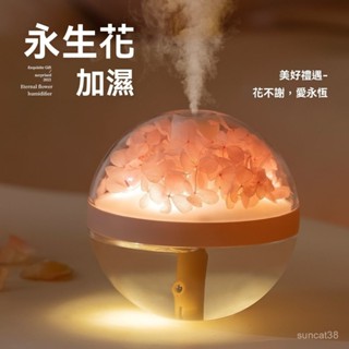 永生花加濕器 USB家用加濕器 水氧機 香薰機 擴香機 臥室辦公室空調房補水保濕 大噴霧 空氣凈化器