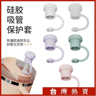 🔥臺灣熱賣/Stanley吸管帽矽膠吸管防塵塞通用款玻璃不銹鋼吸管套小清新色調 6ERH