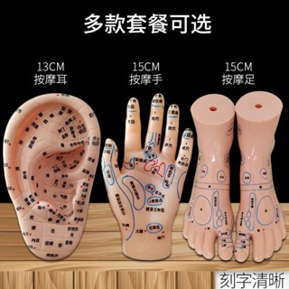 【臺灣出貨】【2.2萬人收藏】豐帆手部足部耳朵穴位模型刻字反射區按壓足底耳穴位按摩推拿