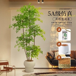 【廠家直銷/免運】筠釵南天竹模擬綠植造景室內沙髮旁高階仿生大型綠植盆栽假花植物 IWVP