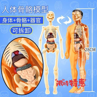 💥臺灣熱賣💥【科普益智】新款DIY 人體器官骨骼模型 可拚裝拆卸醫學解刨3D立體兒童科敎玩具