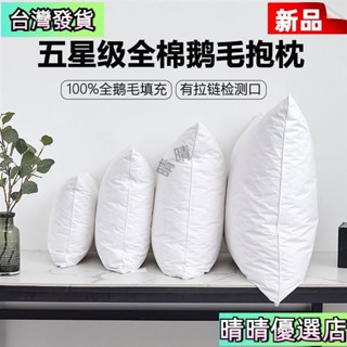 💗桃園有貨-限時下殺白鵝毛抱枕芯羽絨羽毛靠墊酒店沙髮靠背腰墊辦公室大靠枕床頭靠墊 07YS
