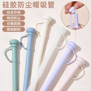 🌟臺灣出貨🌙24H出 ins食品級矽膠吸管史丹利冰霸杯吸管帽配件耐熱加長吸管重複使用 環保吸管 矽膠吸管 PP吸管 L0