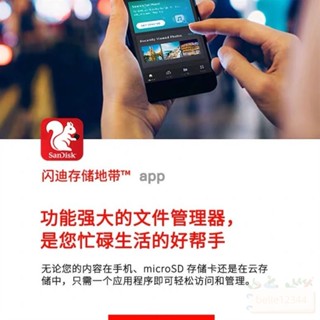 【林】滿額👍優惠中SanDisk 新帝 閃迪 記憶卡 儲存卡 高規格 監視器專用
