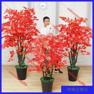 梓楊企業社🛒造景 裝飾花 朔料花 裝飾 模擬楓樹 盆栽 假植物 紅楓樹客廳 假花室內 落地擺件 塑膠紅楓 盆景