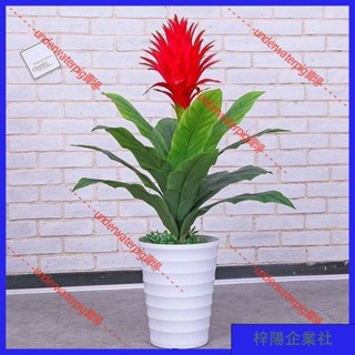 梓楊企業社🛒仿真花 裝飾花 朔料花 假花 模擬綠植 紅掌 鴻運噹頭假花 客廳裝飾 綠色植物 落地假花擺設盆栽盆景