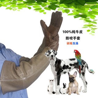 爆款推薦💥手套防咬手套牛皮防狗咬加長洗澡貓爪厚防抓手套寵物搓澡訓鷹防刺野外防抓手套按摩手套 SHR8