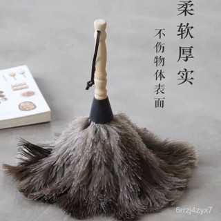 【懶人必備】撣子掃灰塵客廳除塵神器除塵撣子伸縮桿收納清潔掃灰除塵掃鴕鳥毛 WSCD