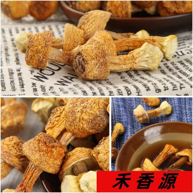 🔥禾香源 巴西蘑菇 姬松茸干貨 云南特產 食用野生菌 姬松茸